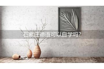 广州德语可以自学吗？
