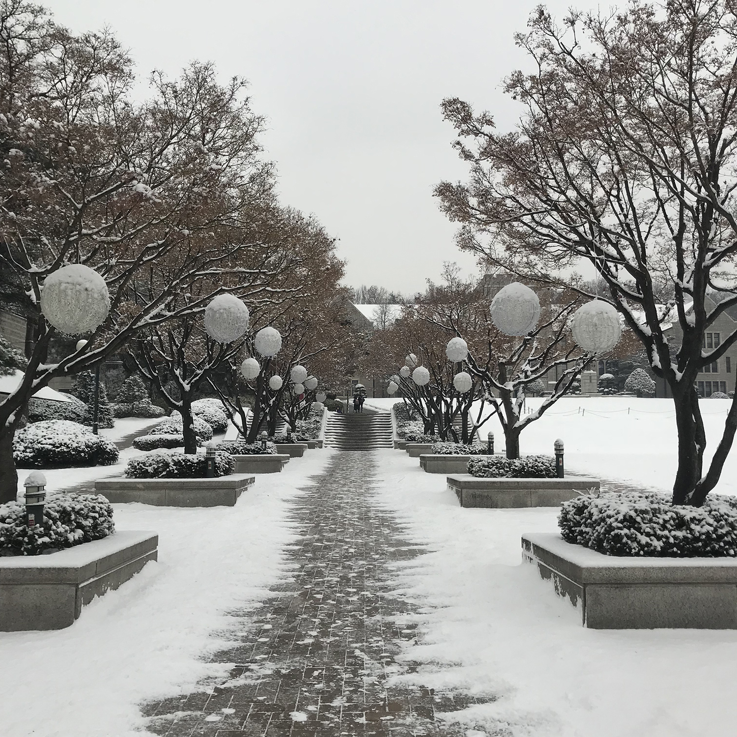 韩政府：中秋前后或考虑放宽口罩令