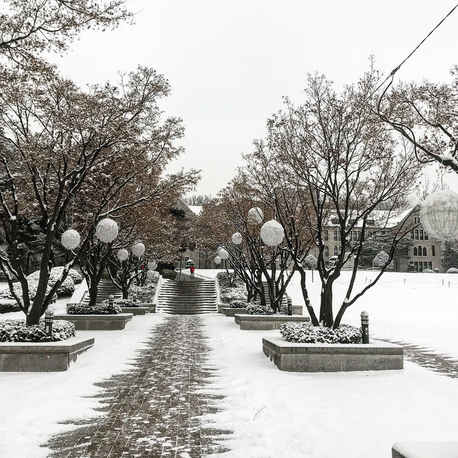 关于韩国留学的这些事出国前一定要了解！