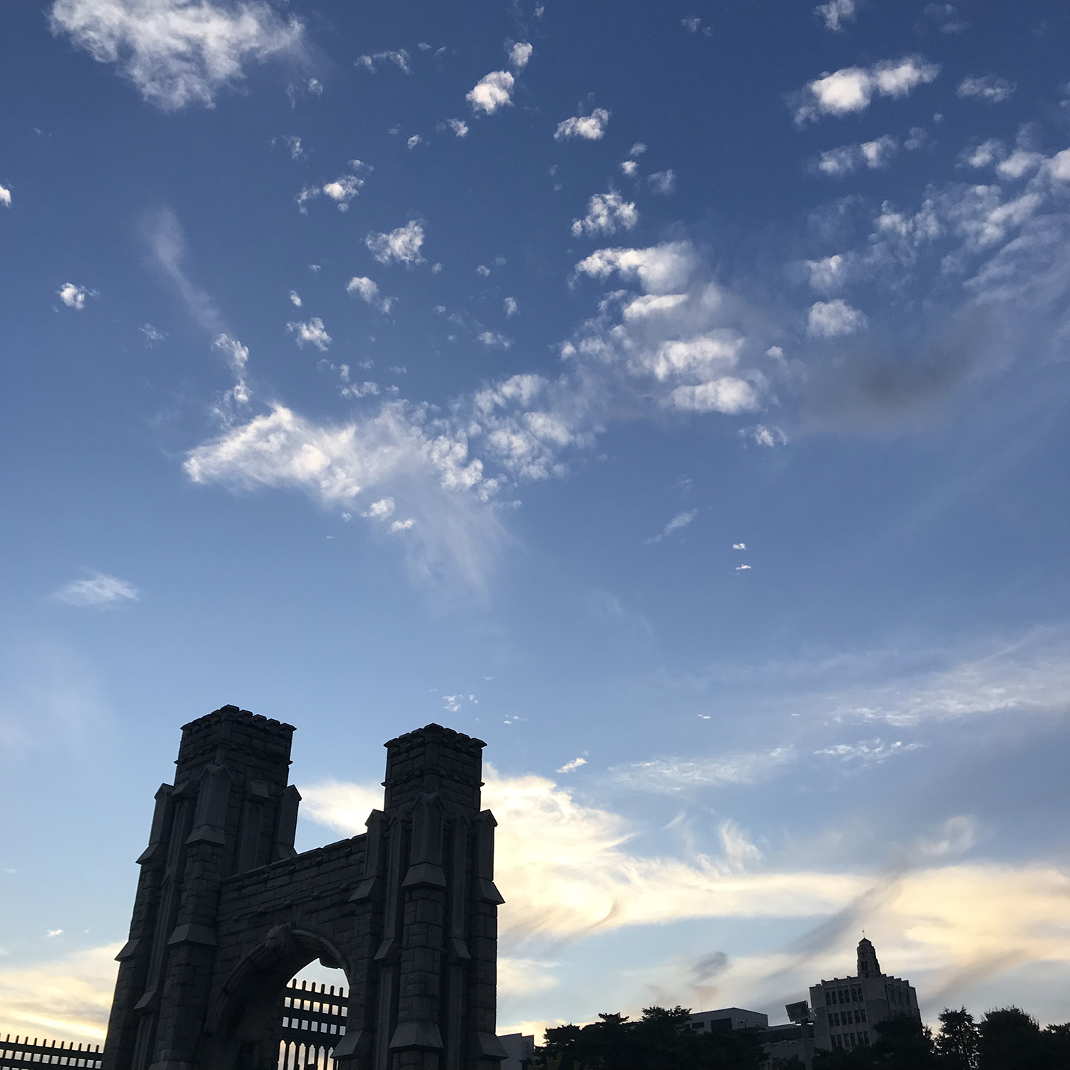 韩国留学选择哪些专业比较好，更利于回国发展？