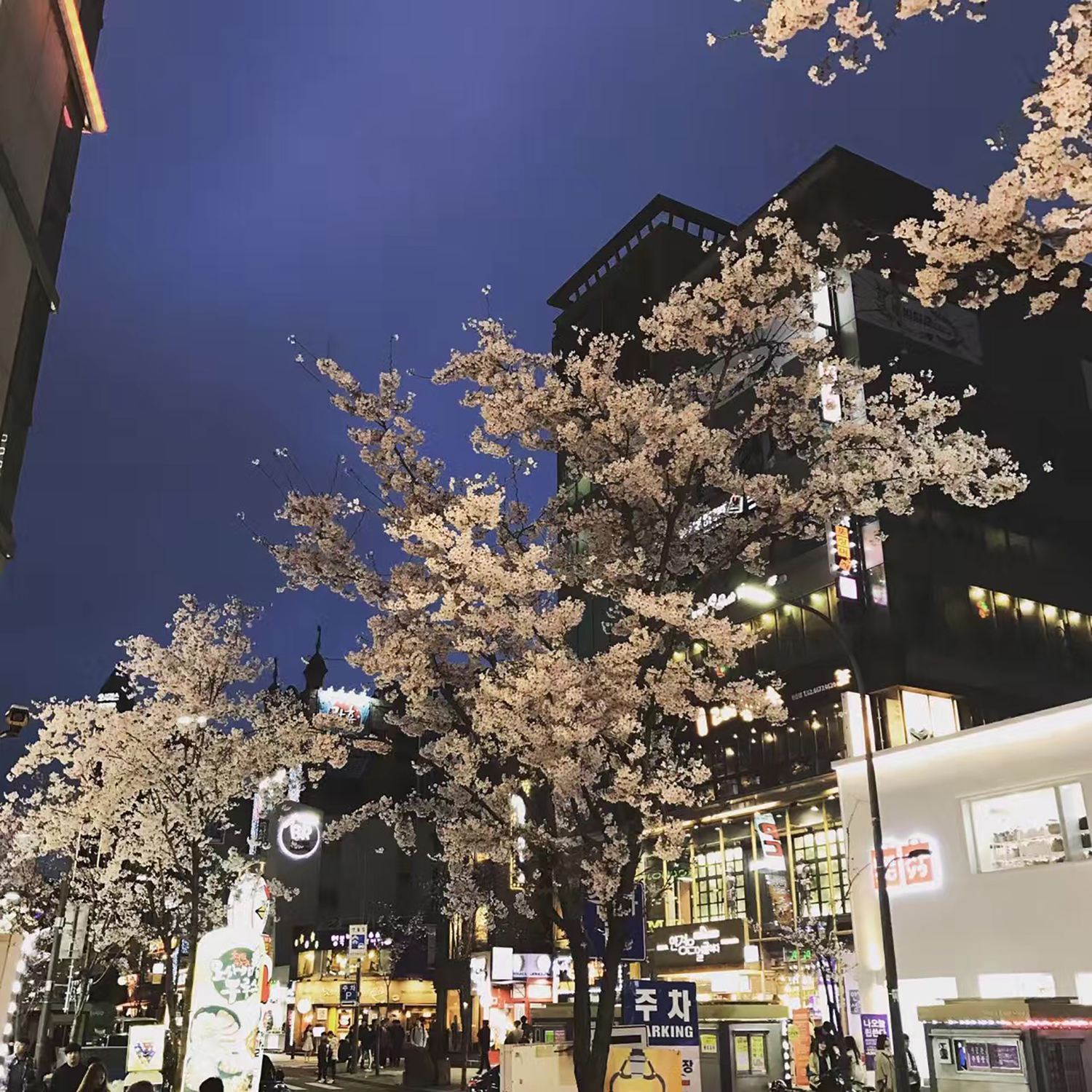 干货！刚打算去韩国留学的你最应该这样去做规划