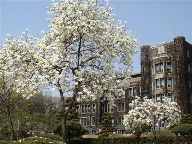 以三所大学为例，来了解一下韩国大学的心理学专业！