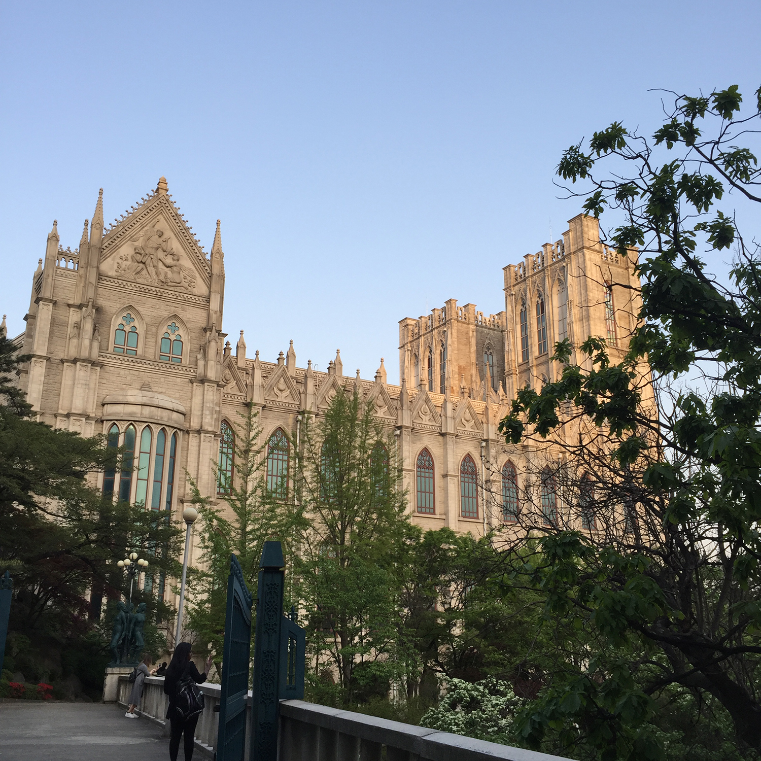 韩国留学：留学的人越来越多，大家所热衷的专业都有哪些？