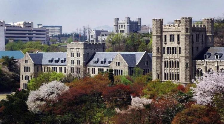 申请SKY需要哪些条件，你够资格吗？