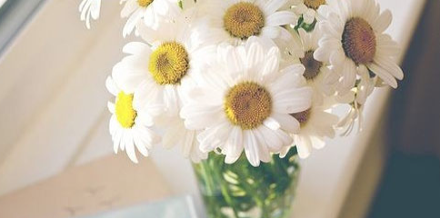 日语自学如何选择教材