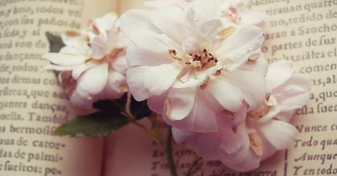 石家庄学n2日语考试怎么提升