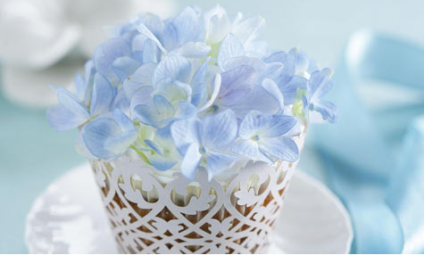 零基础小白学Java要掌握哪些基础知识