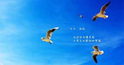 学习Java开发预防bug有哪些技巧