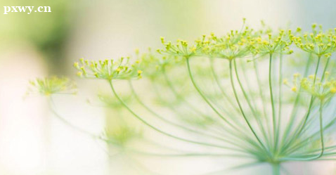 java开发需要哪些软件