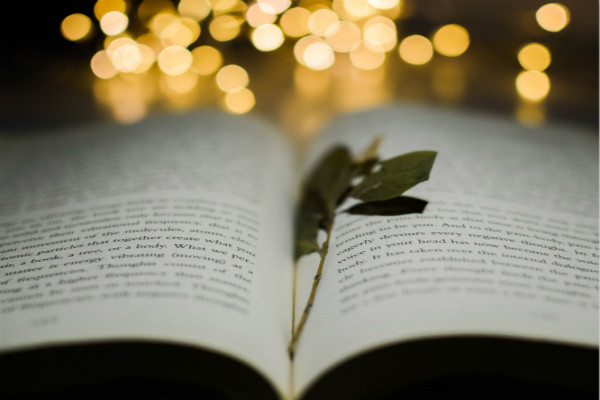 2022日本动漫设计专业大学排名