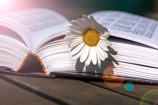 在日本开学的四个新学期中，应该选择几个月？