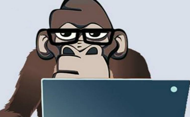 想要学好编程到底要不要去IT培训机构？