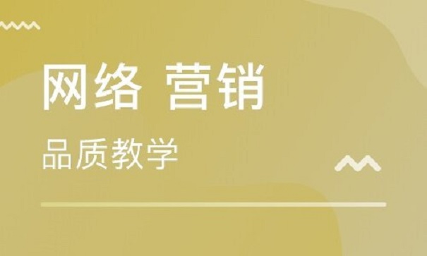 学习网络营销能做什么