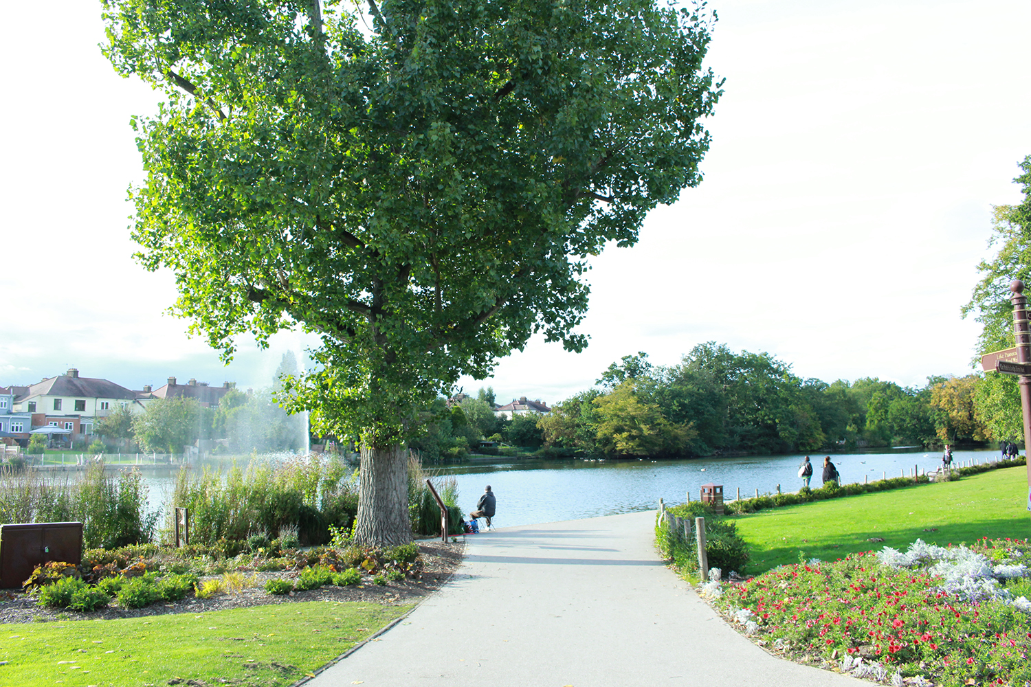 德国大学专业概况丨BWL 企业经济学