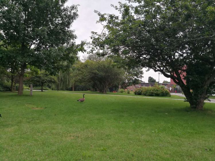 德国留学｜德国留学申请攻略