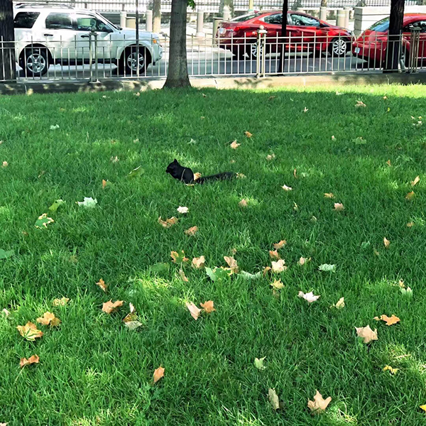 正值申请季，了解欧洲各国名校的deadline很重要！