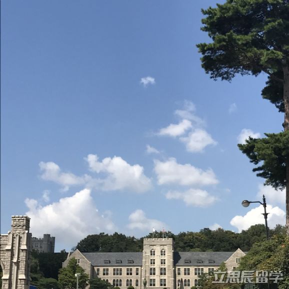 聊一聊德国留学选什么专业回国之后好就业？