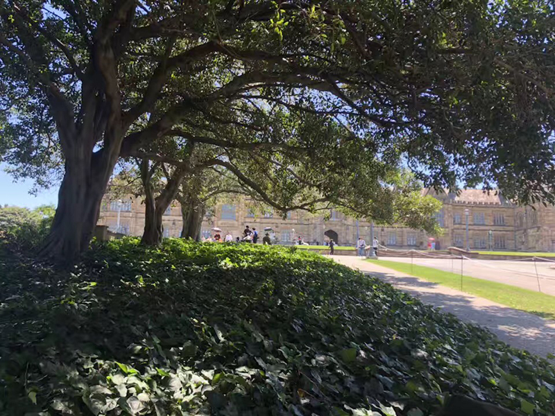 在德国读研需要几年？“水文凭”的心态不可有！