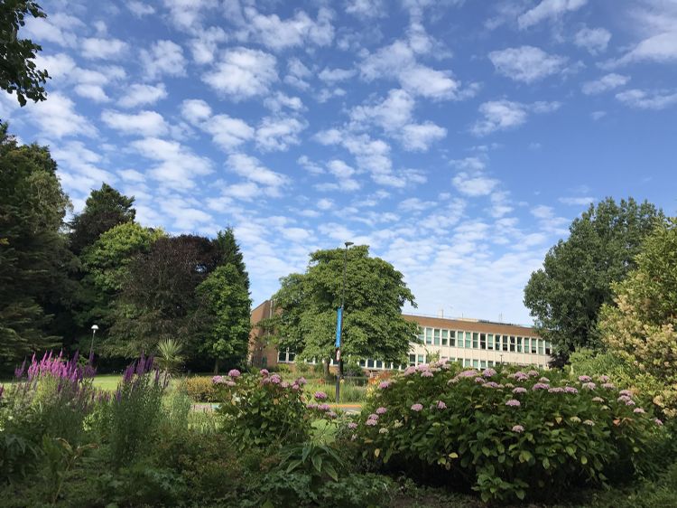 德国大学毕业后找工作？当前德国究竟需要哪些人才？