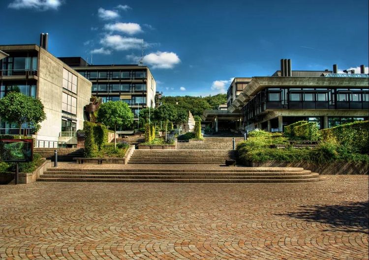 德国留学有哪些热门专业和优势院校，快来了解！