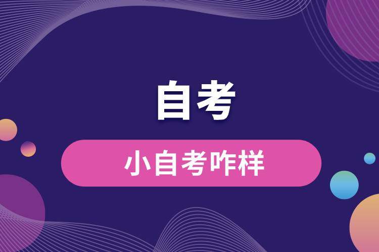 小自考咋样