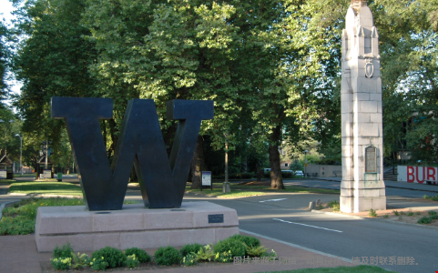 华盛顿大学和圣路易斯华盛顿大学哪个排名好？