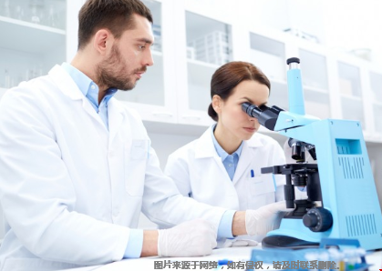 美国本科生物医学工程专业排名top30