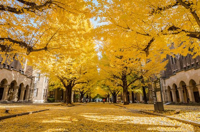 皇家威尔士音乐戏剧学院怎么样 随便聊聊