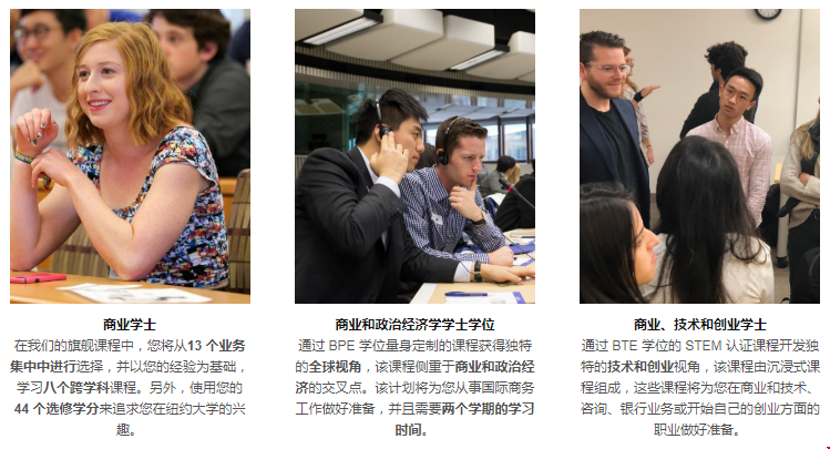 纽约大学商学院本科开设哪些专业？