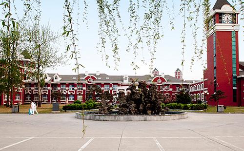 理性分析国际学校和公立学校的优劣势