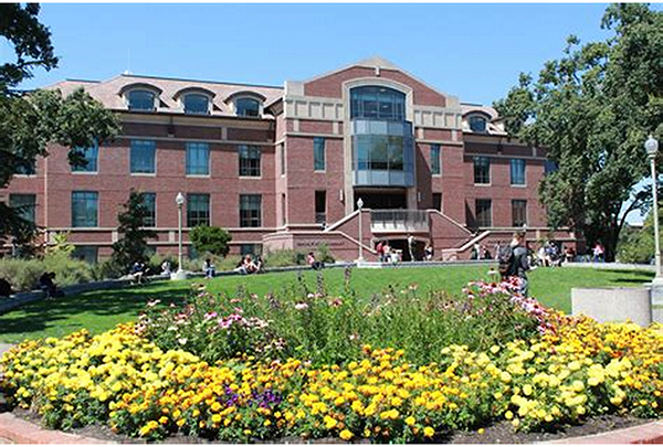 德雷塞尔大学动画与视觉效果专业 牛的鸭批哦