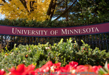 明尼苏达州有什么好大学？