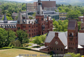 康奈尔大学庄臣商学院开设哪些本科项目？