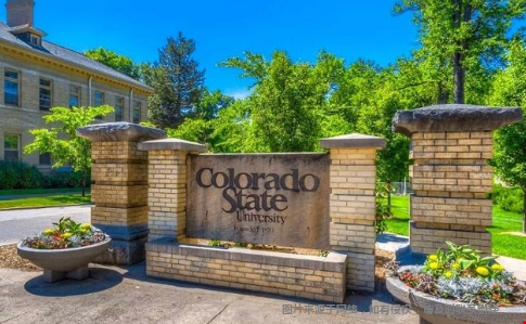 科罗拉多州立大学研究生专业全美排名怎么样？