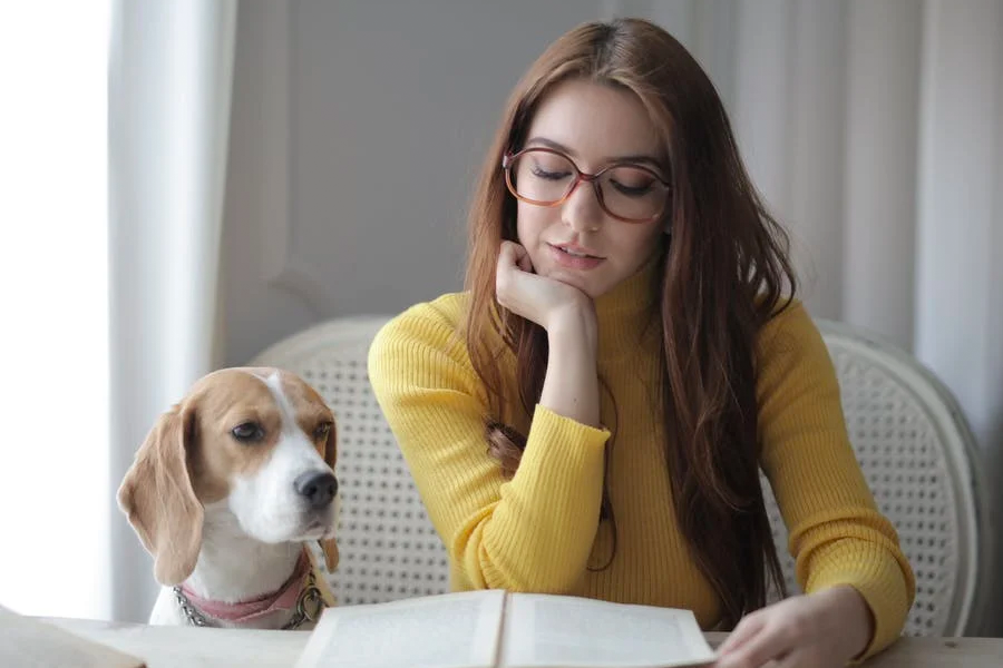 申请美国大学留学，应该怎样选择中介机构？