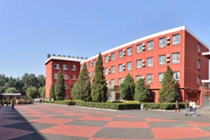 想要就读国际高中应该具备哪些基本的条件呢？