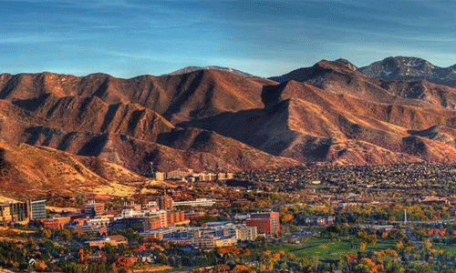 纽约大学本科留学申请要求是什么？