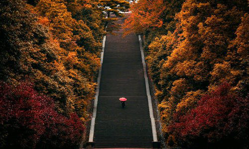 美国艺术留学优势有哪些