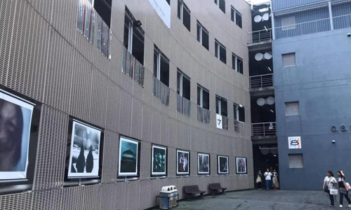 成安造形大学专业设置