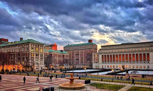 纽约大学研究生专业有哪些？