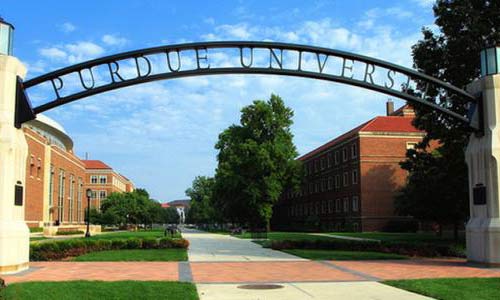 出国留学学纯艺术专业怎么样？