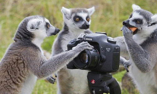 留学摄影专业哪些院校好？