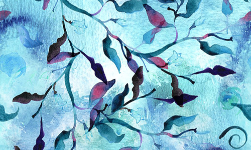 加拿大美术专业留学院校有哪些