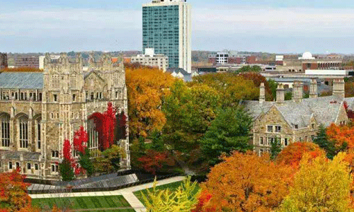 密歇根州立大学研究生申请条件是什么？