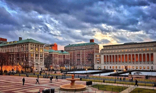 纽约大学本科作品集要求