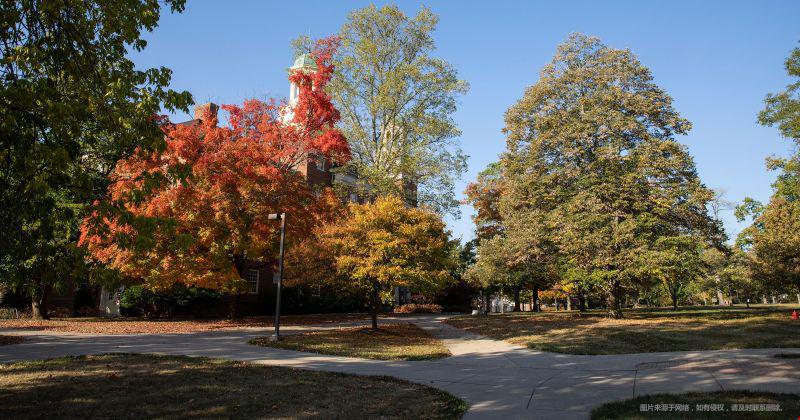 斯坦福大学博士申请条件有哪些？