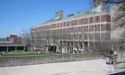 纽约视觉艺术学院艺术专业及申请要求