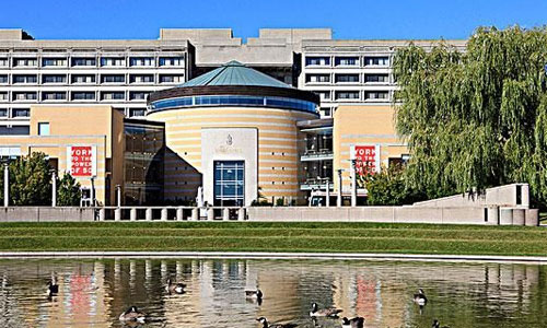 加拿大约克大学设计专业有哪些