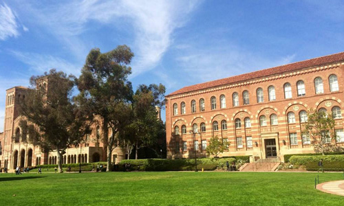 加州大学洛杉矶分校本科专业有哪些？