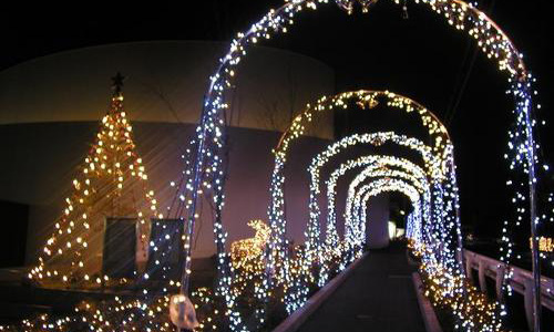 去樱美林大学留学申请要求